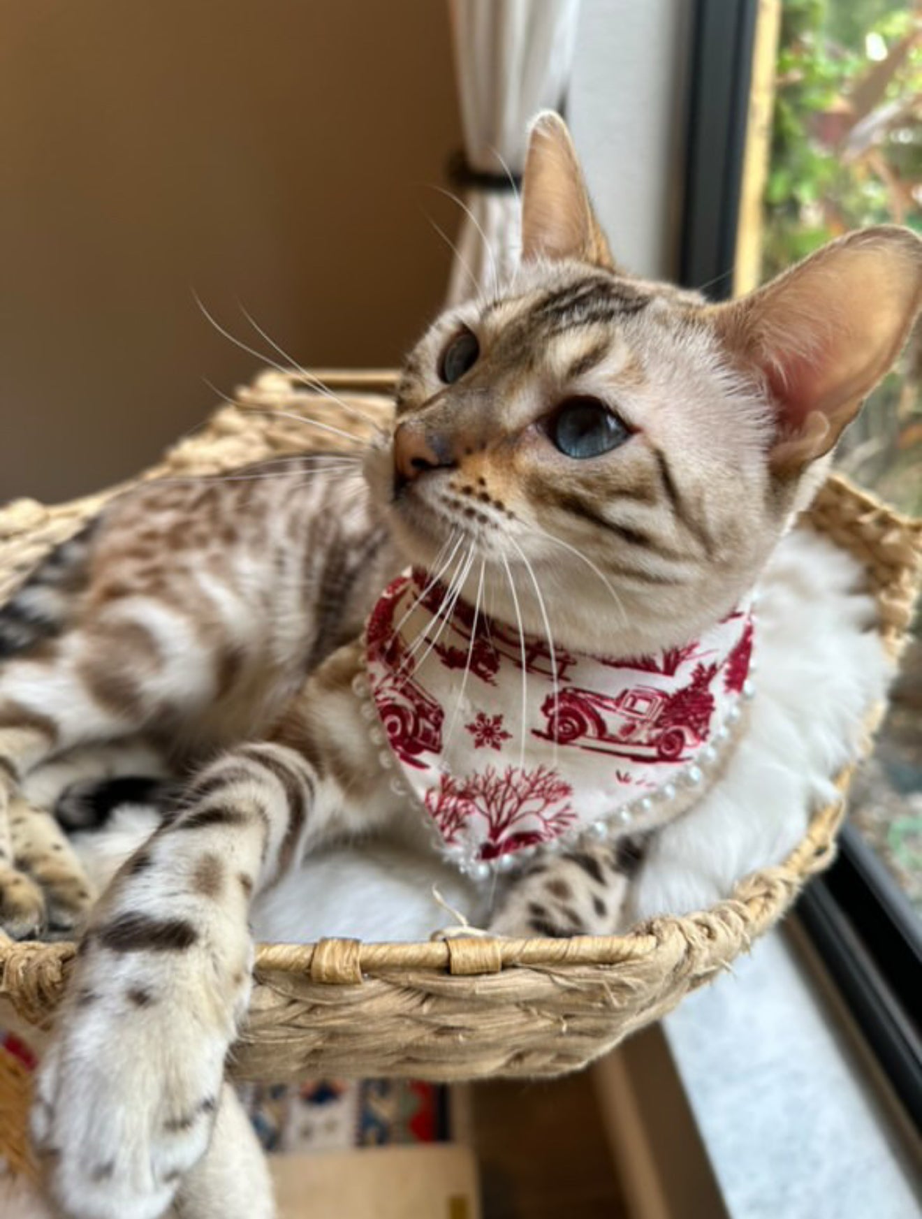 I'll be Home for Christmas