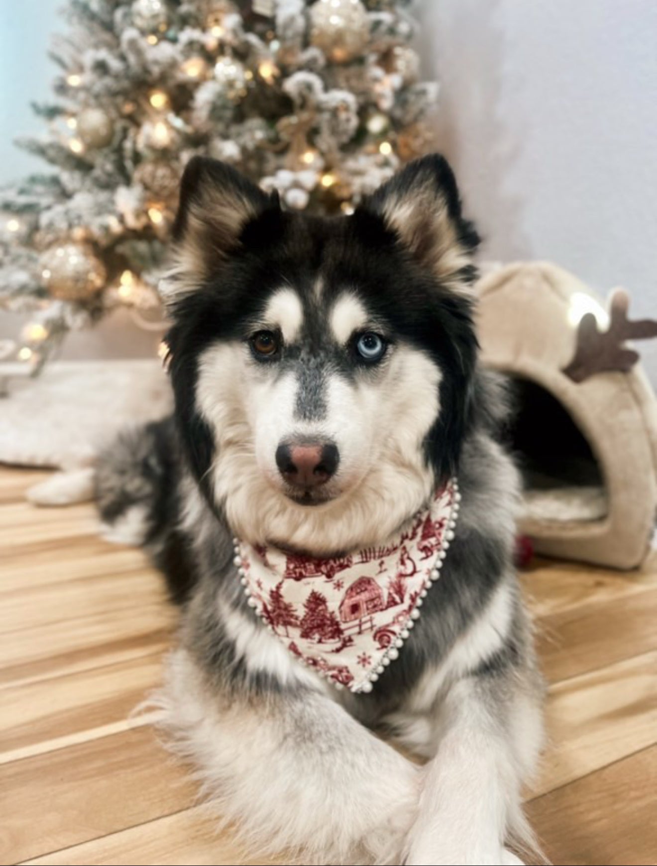 I'll be Home for Christmas