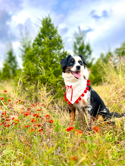 Holly Jolly