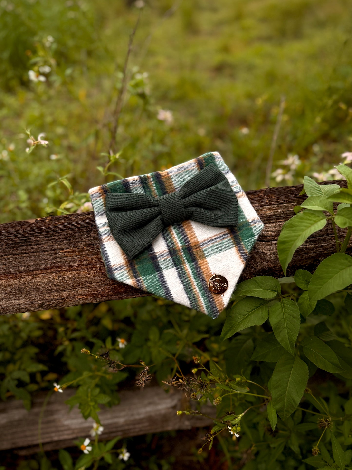 The Woodland Wanderer