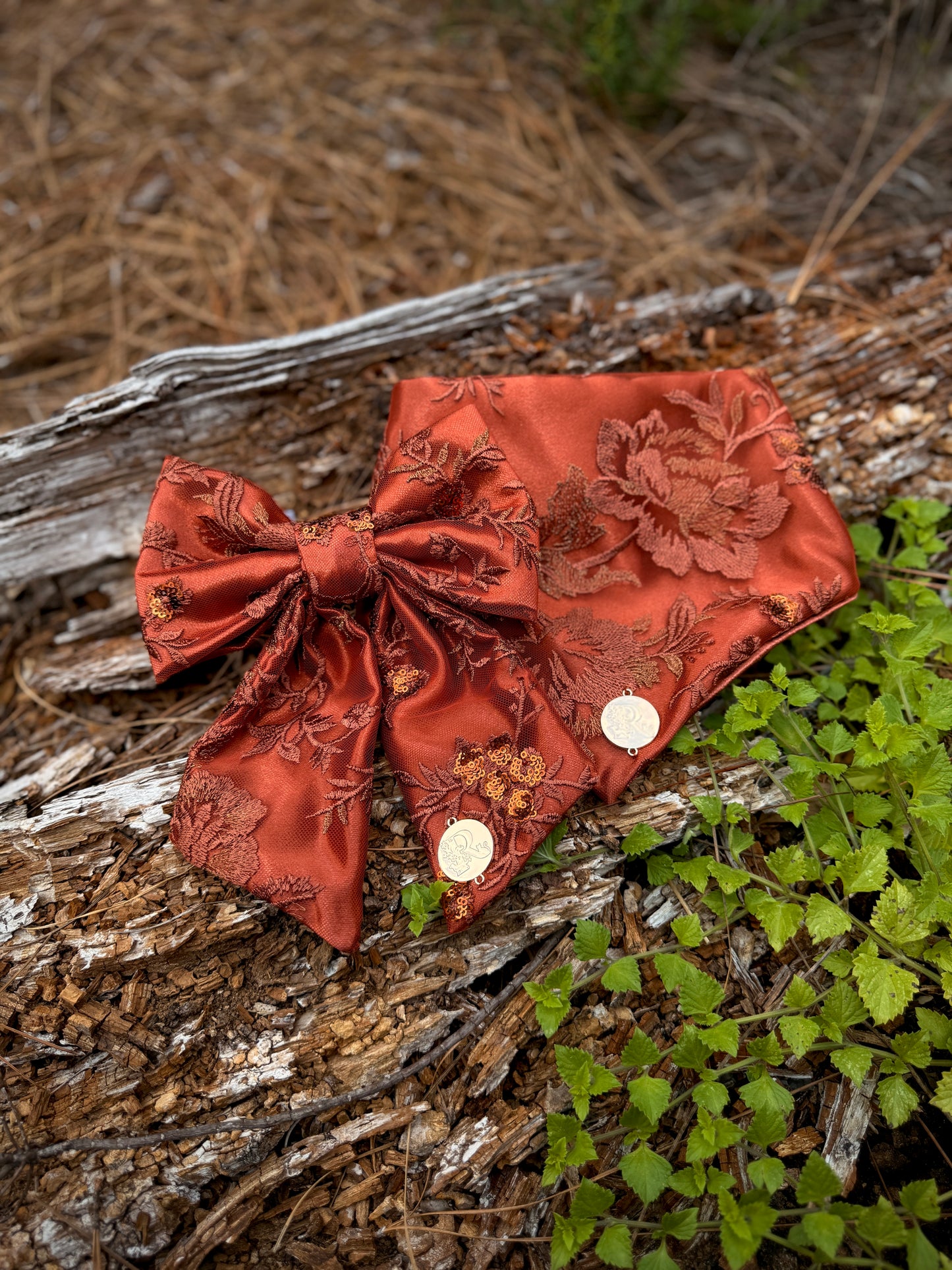 The Ember Forager
