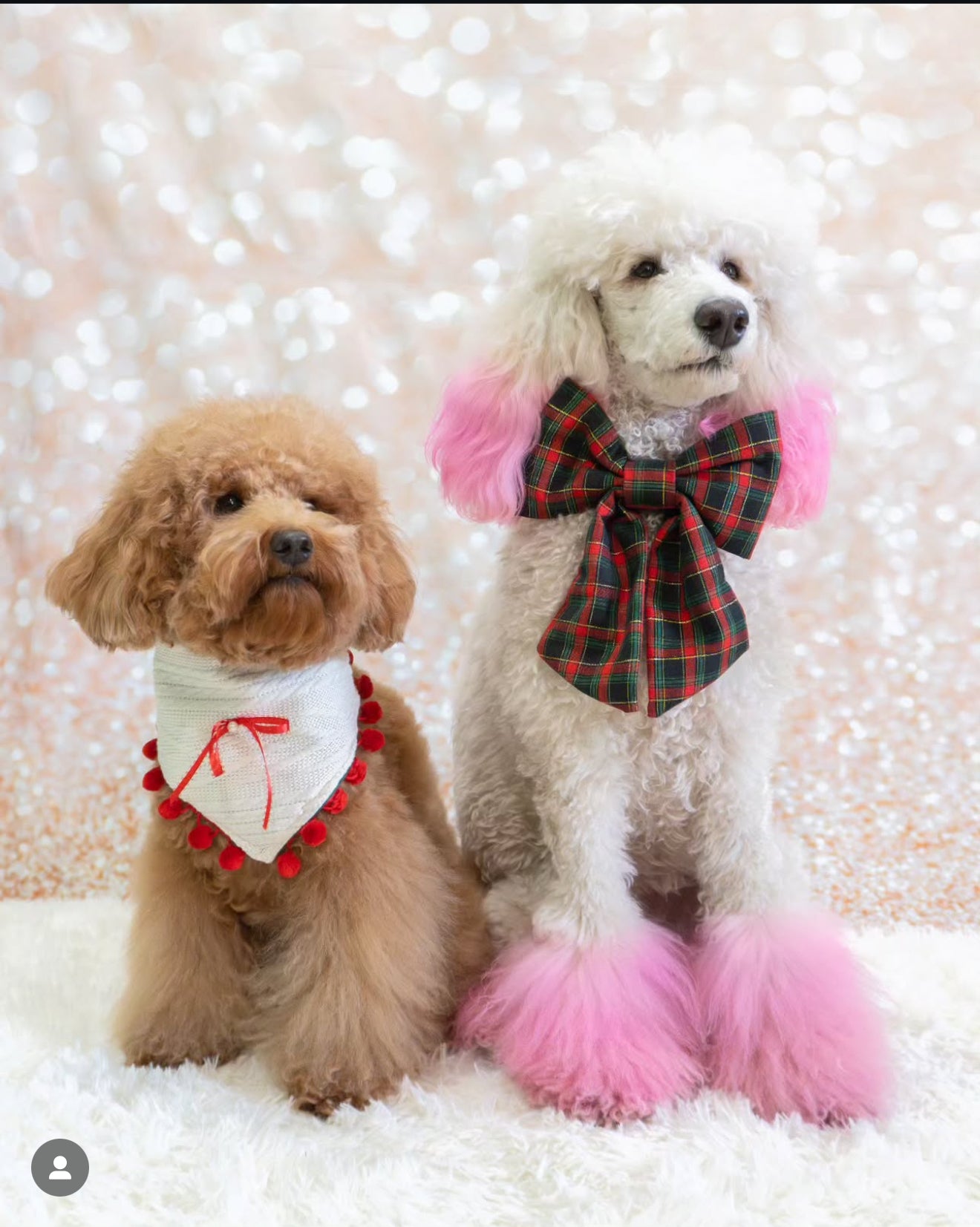 Deck the Halls