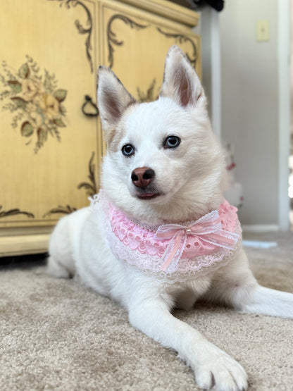 The Fairest of them All